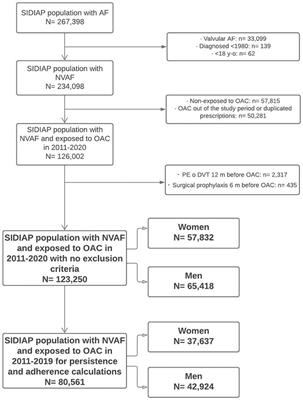 Sex and gender differences in the use of oral anticoagulants for non-valvular atrial fibrillation: A population-based cohort study in primary health care in catalonia